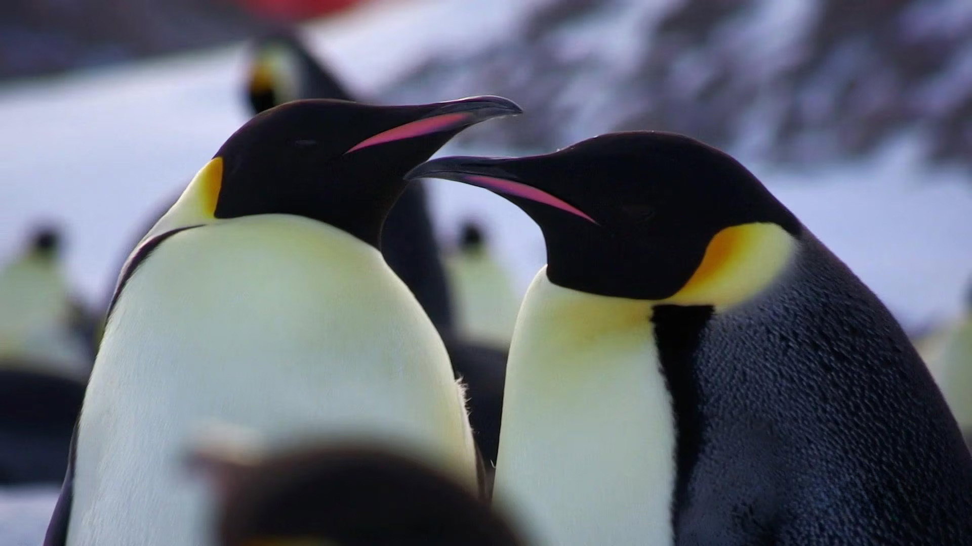 Earth Odyssey with Dylan Dreyer S07E05 backdrop