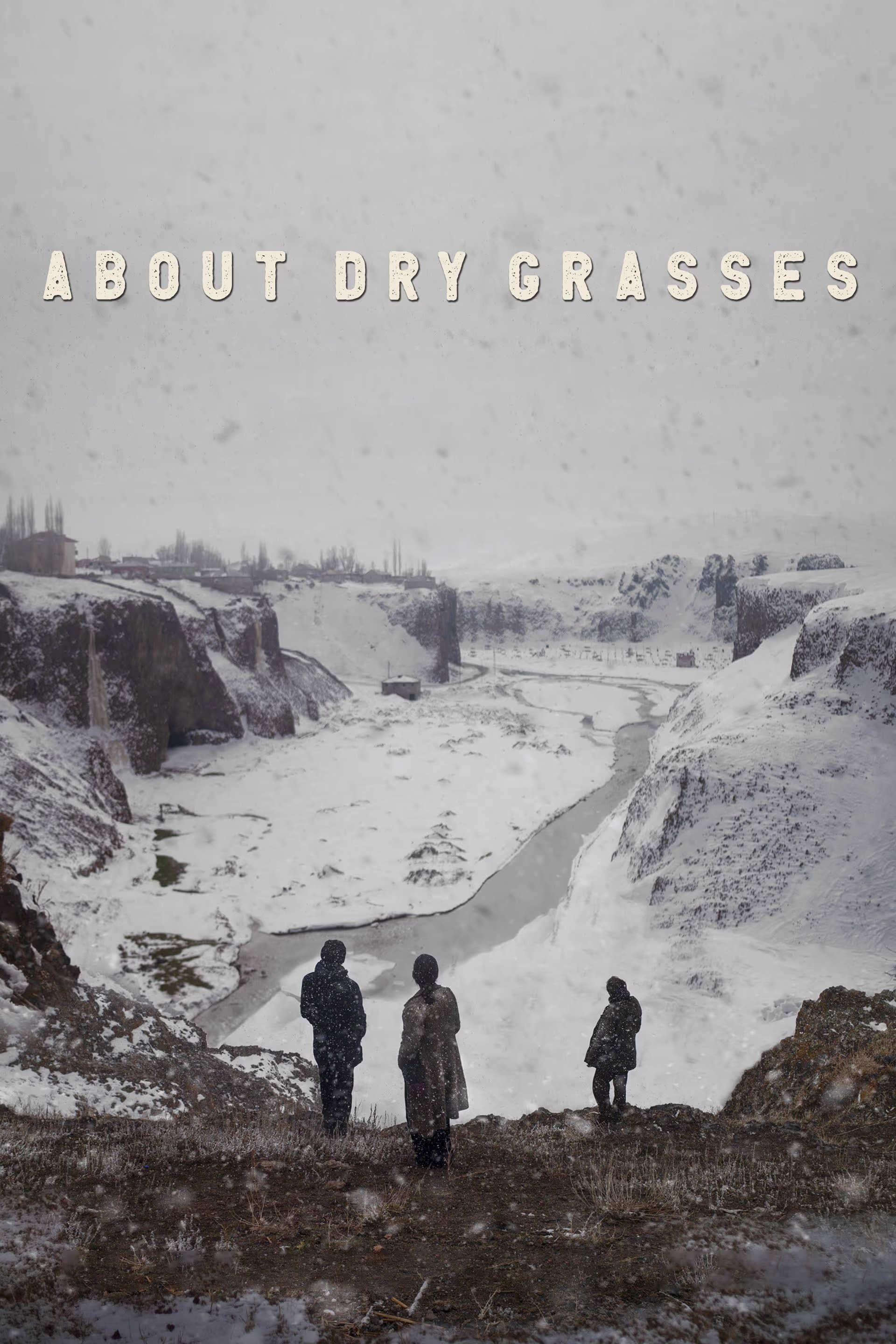 About Dry Grasses