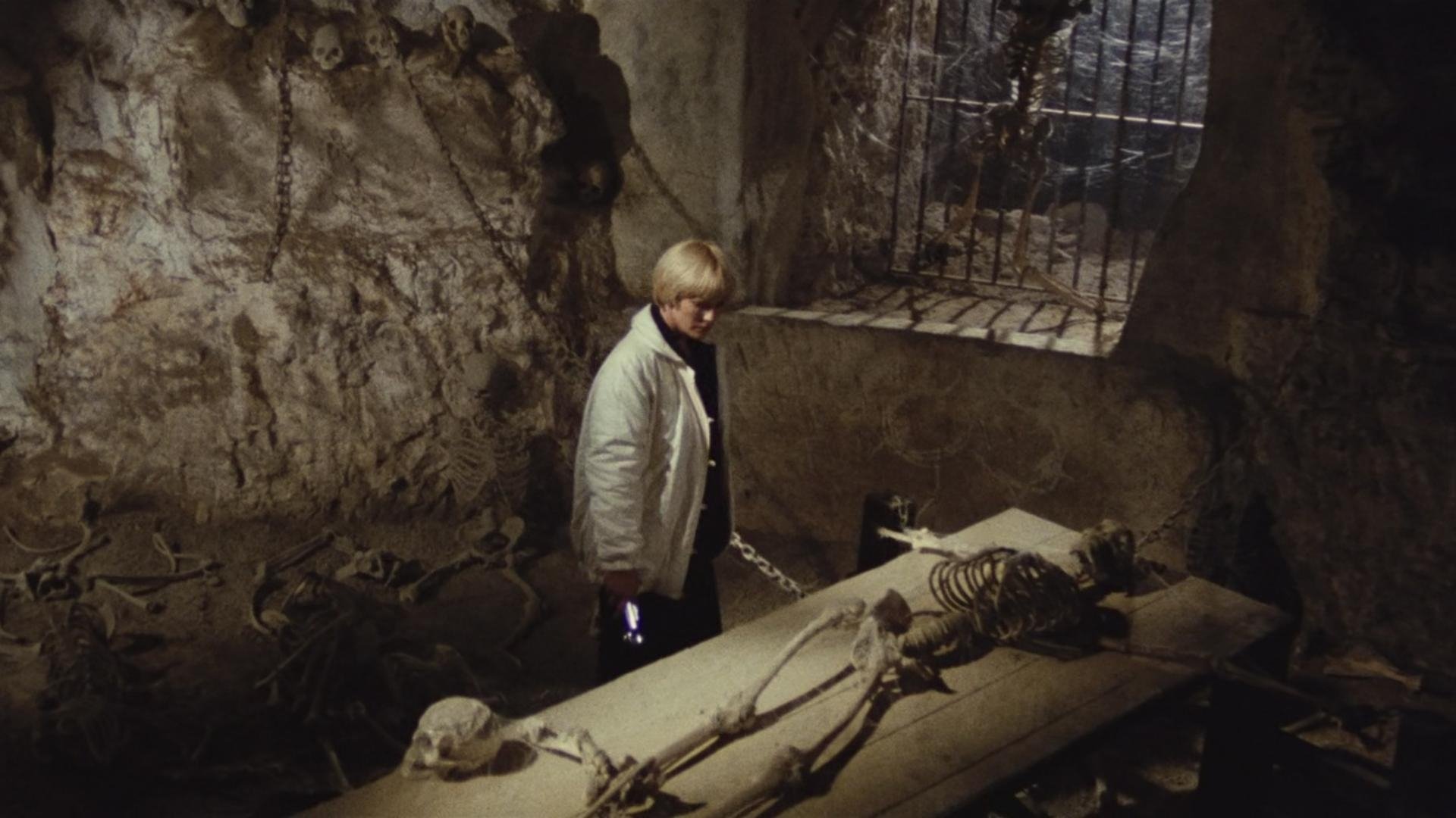 The Black Cat (1981)