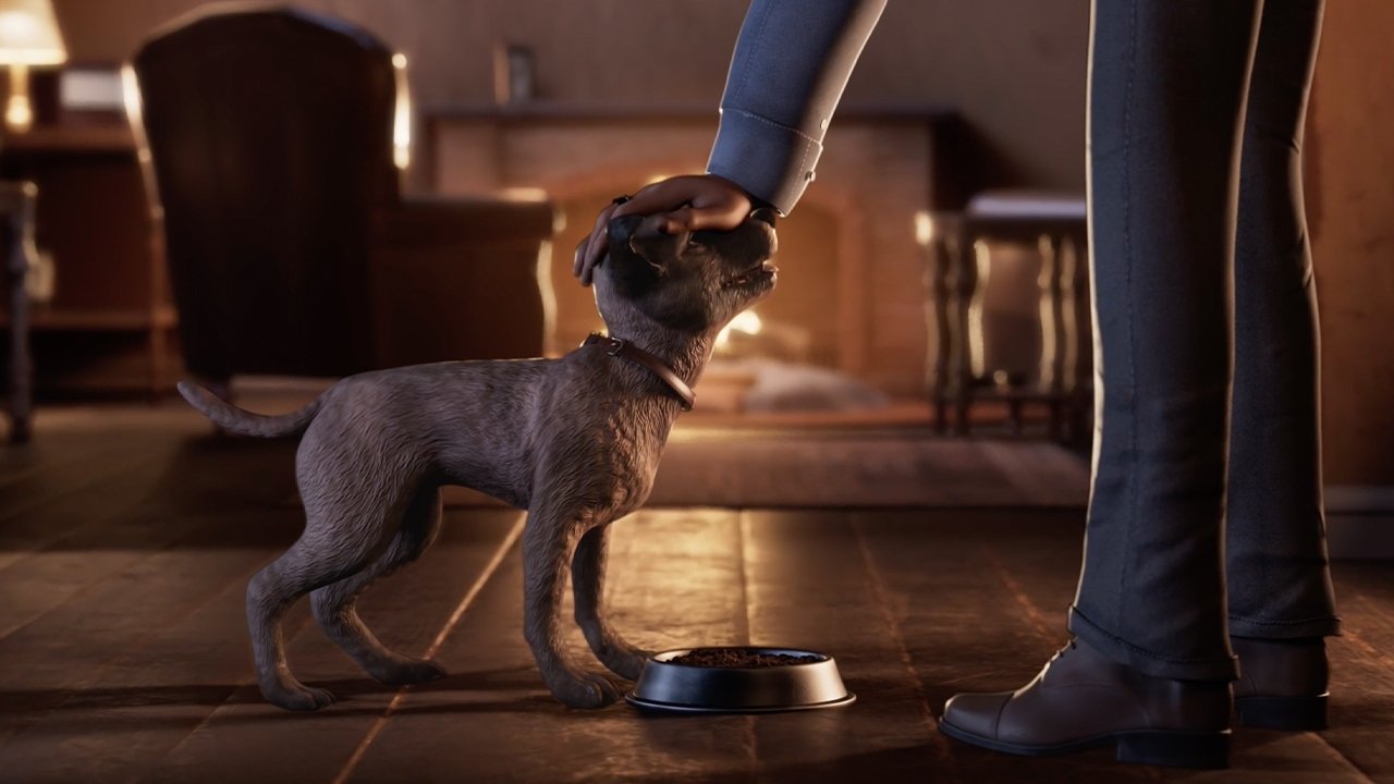 Little Stray (2023)