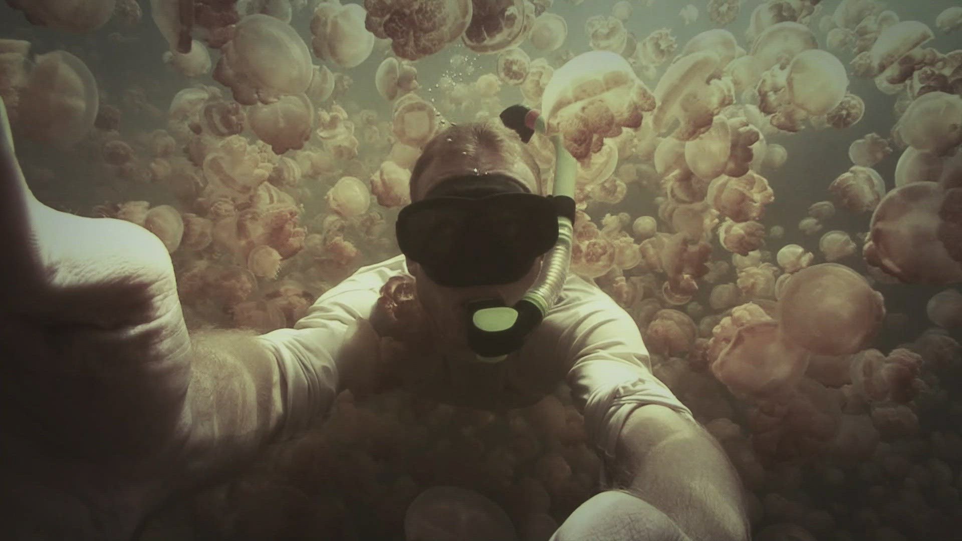 Thumbnail for Mystery Skeleton of Belize Season 1 Episode 2