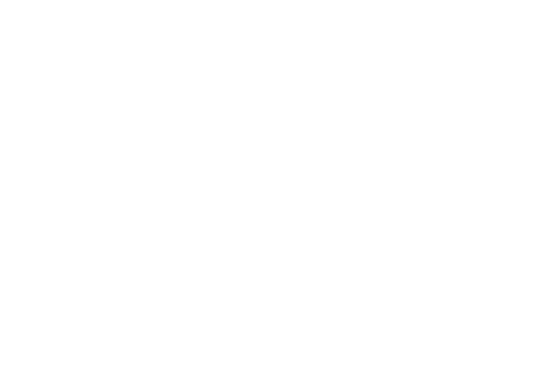The Flying Scot