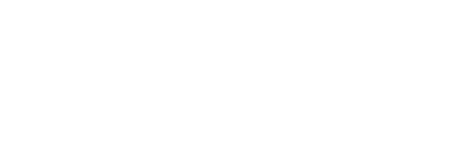 Africa's Wild Year