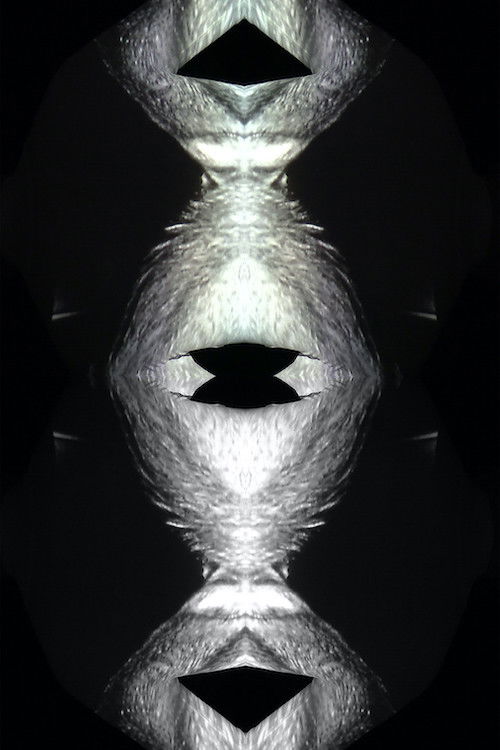 still intact, gelatinous and perfect for swallowing