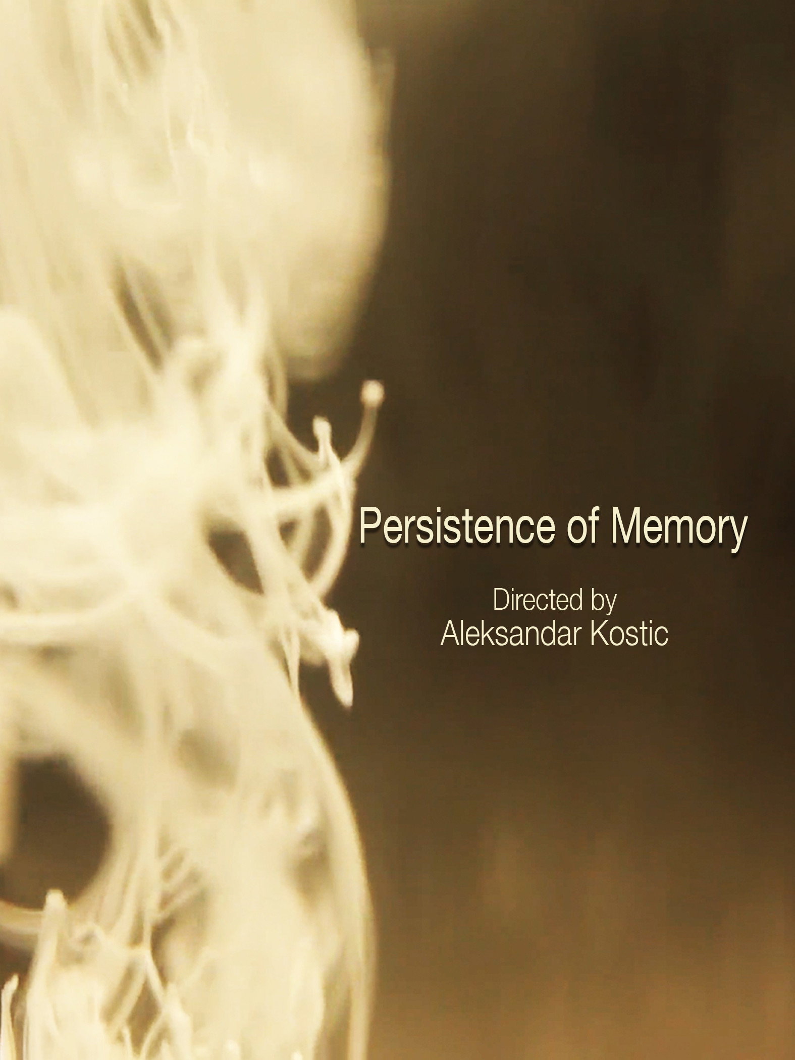 Persistence of Memory