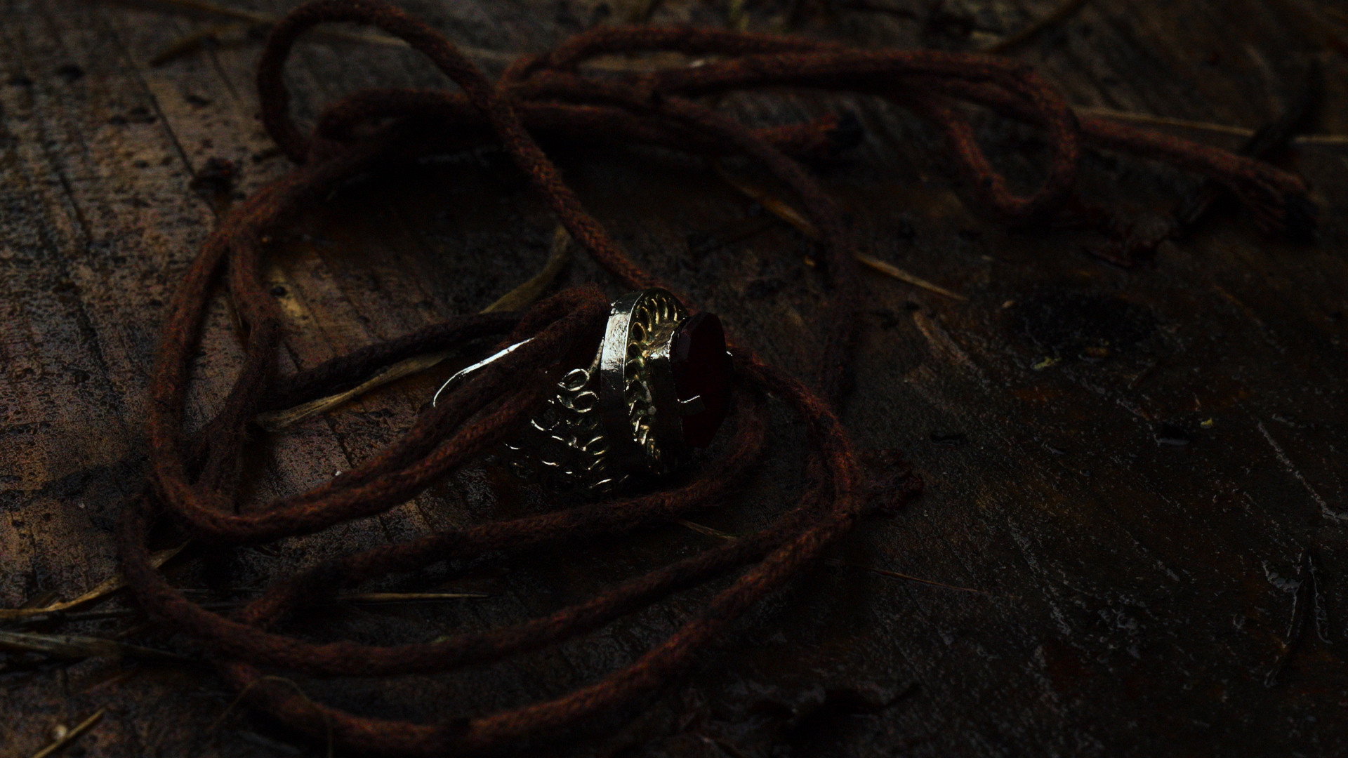 Assika : Jusqu'au sang