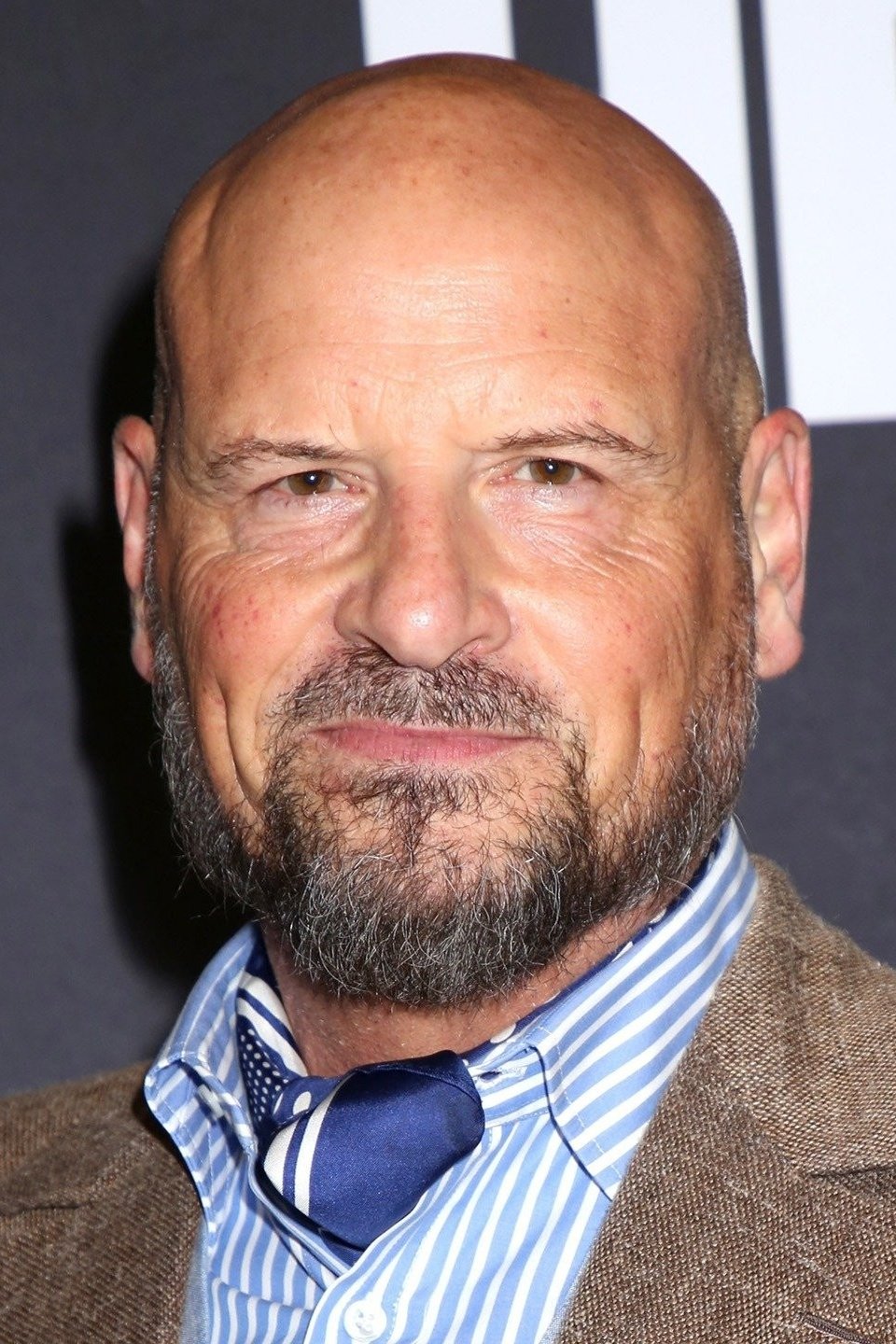 et billede af Matti Leshem