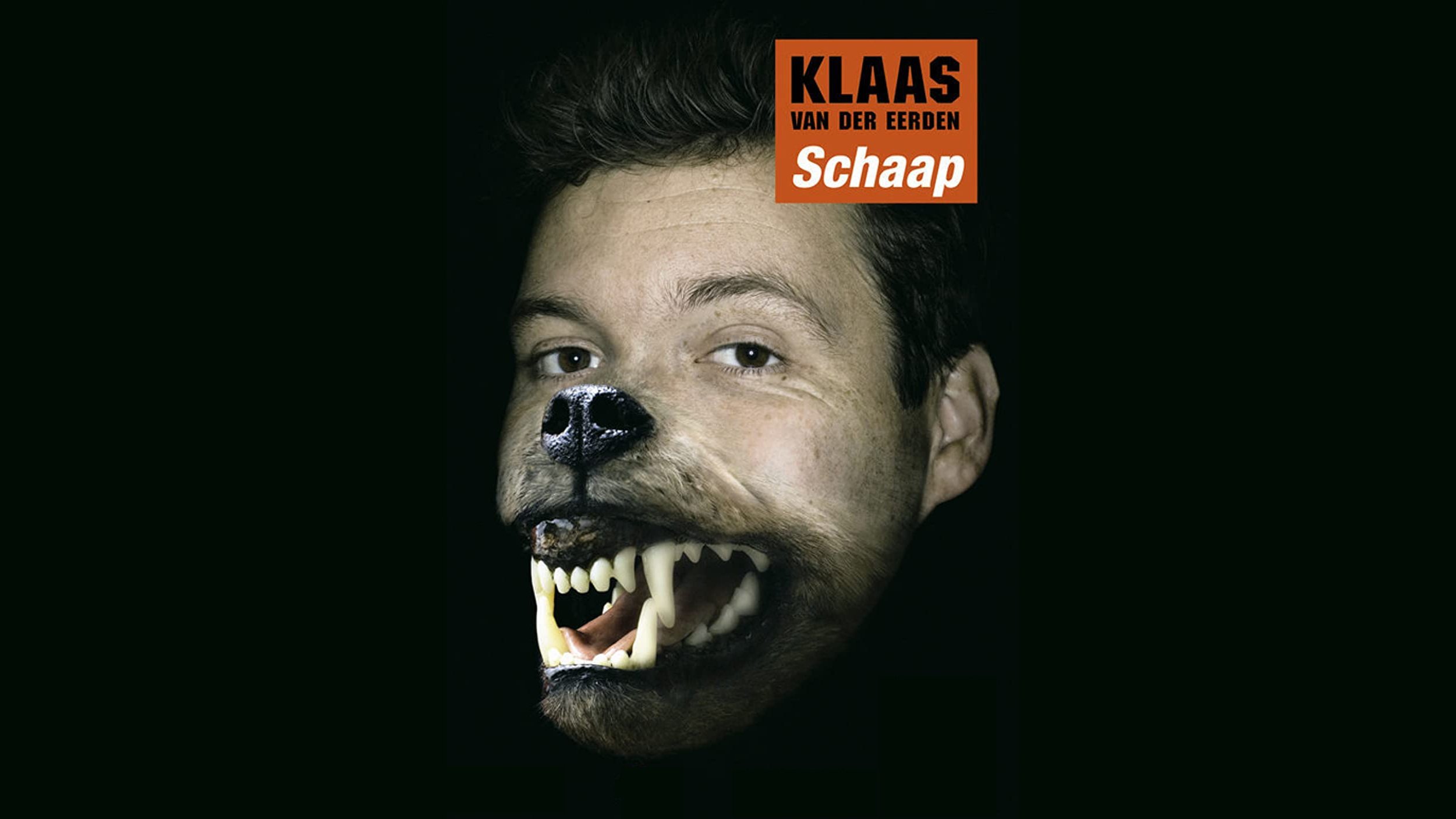 Klaas van der Eerden: Schaap (2007)