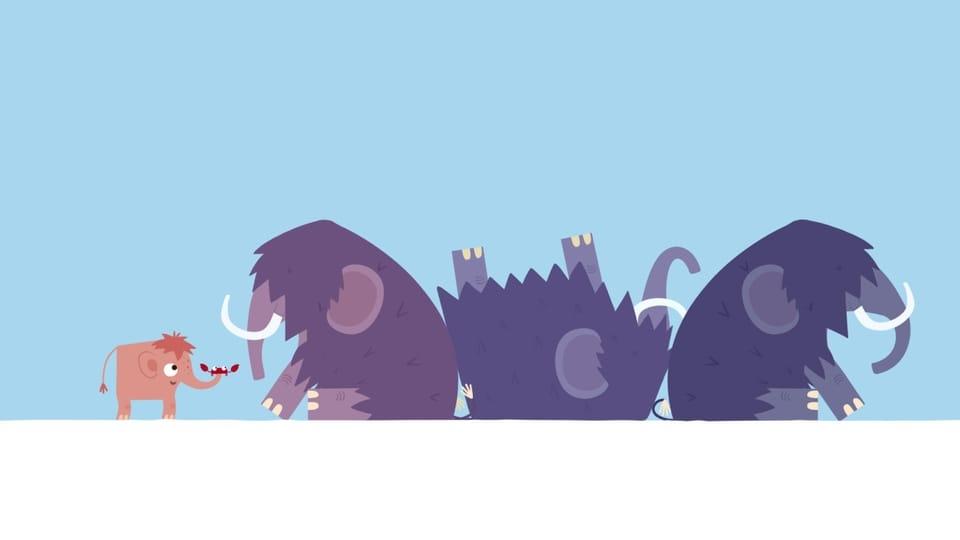 Animanimals