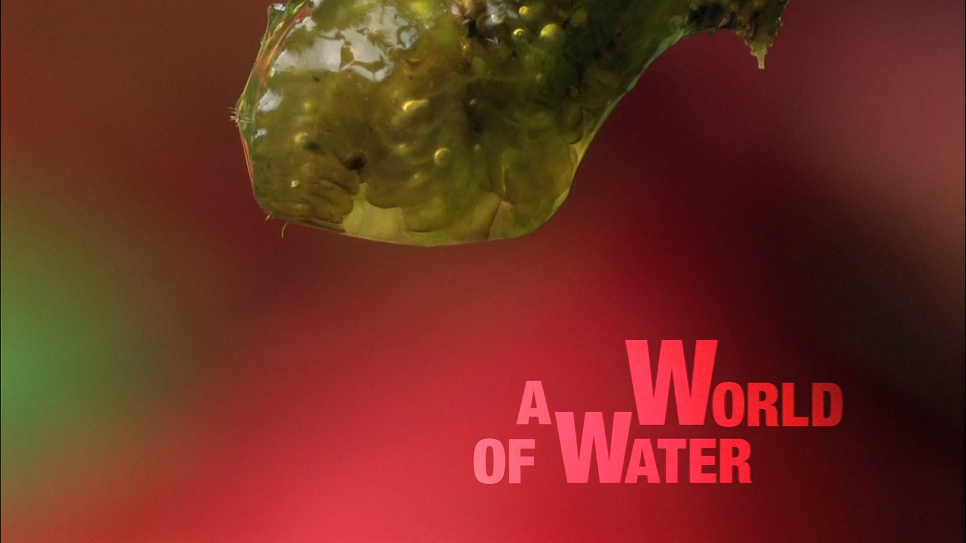 Thumbnail for A World of Water Season 1 Episode 1
