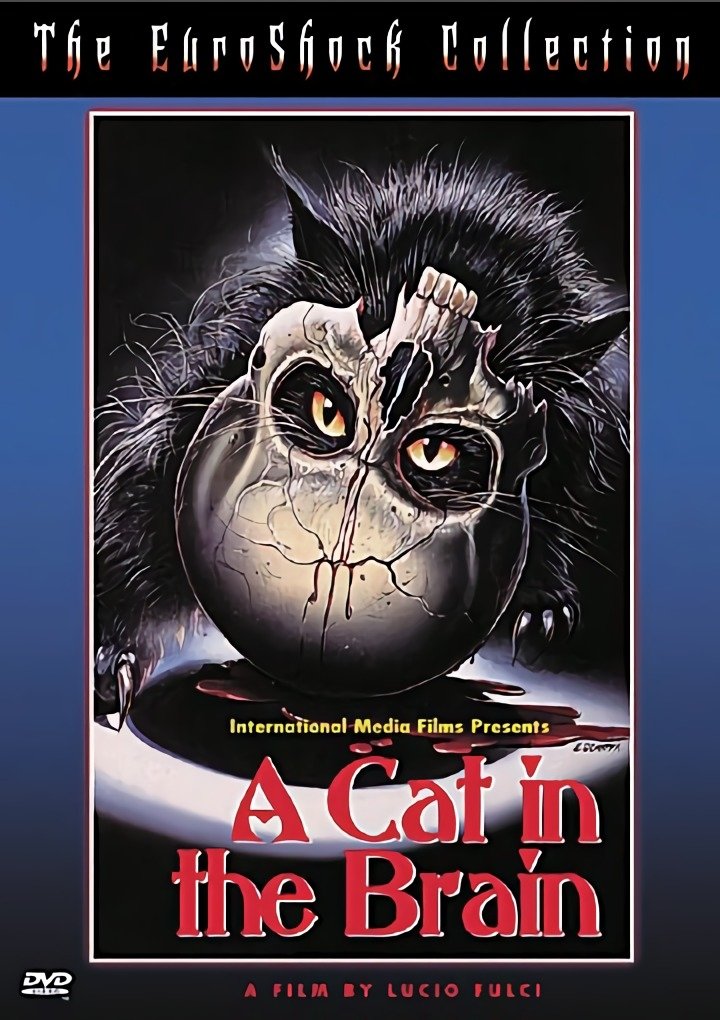 A Cat in the Brain