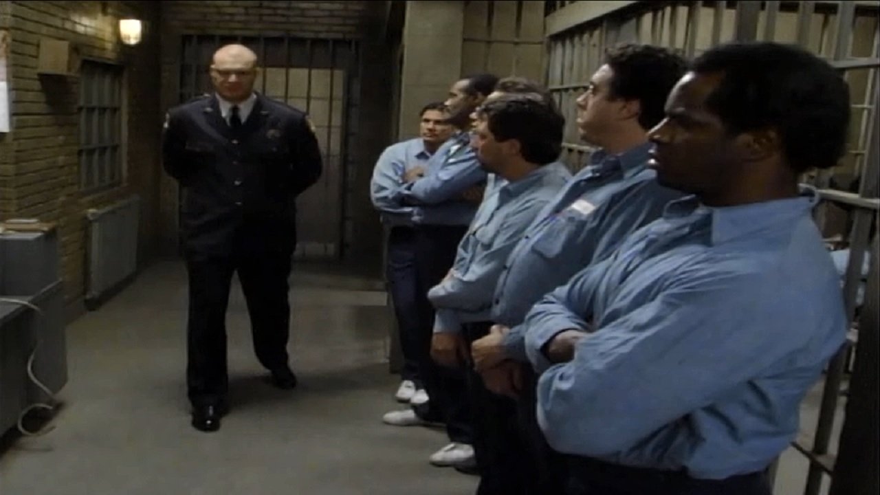 Night Court