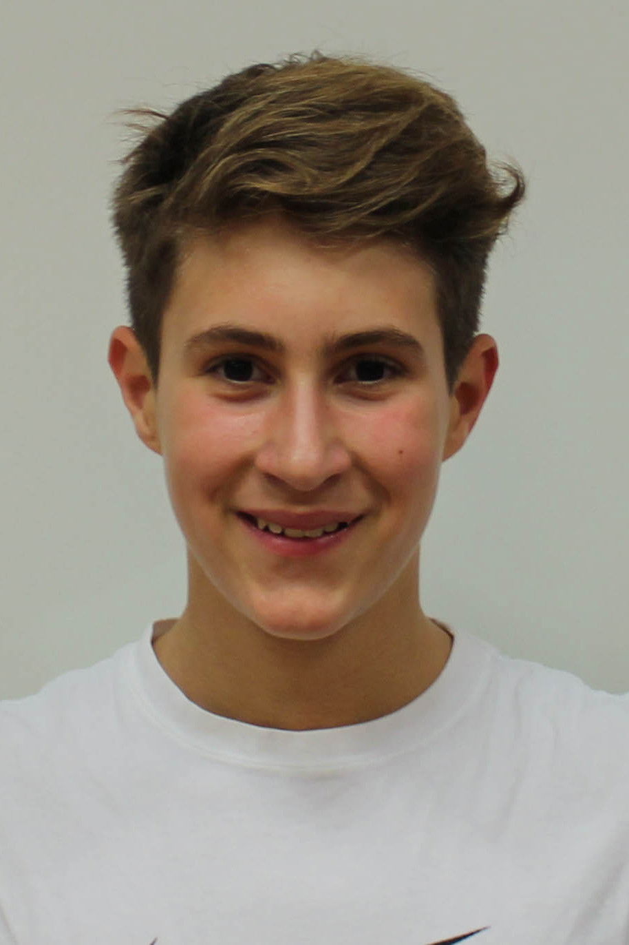 et billede af Luka Žerdin