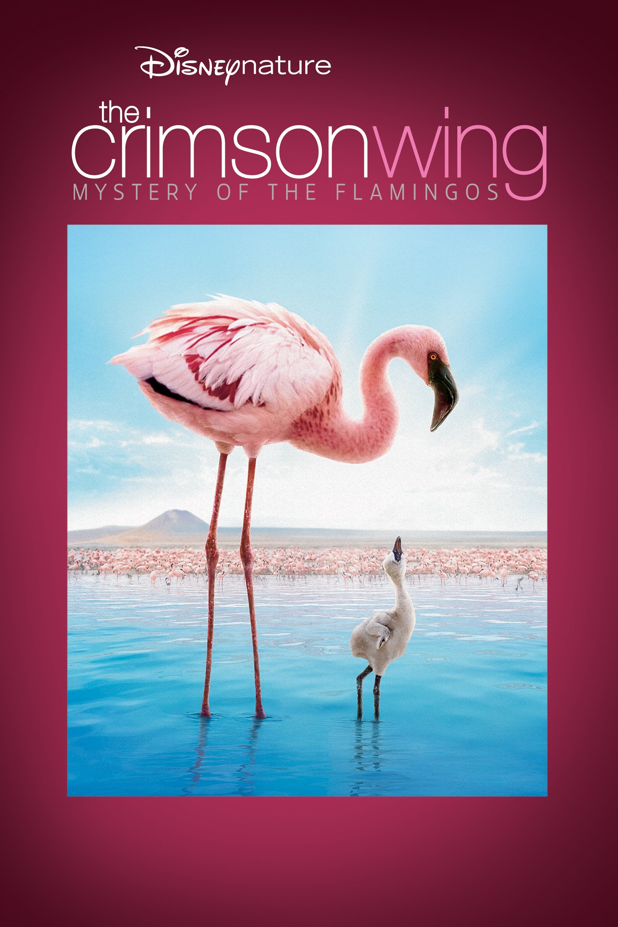 The Crimson Wing: Mystery of the Flamingos