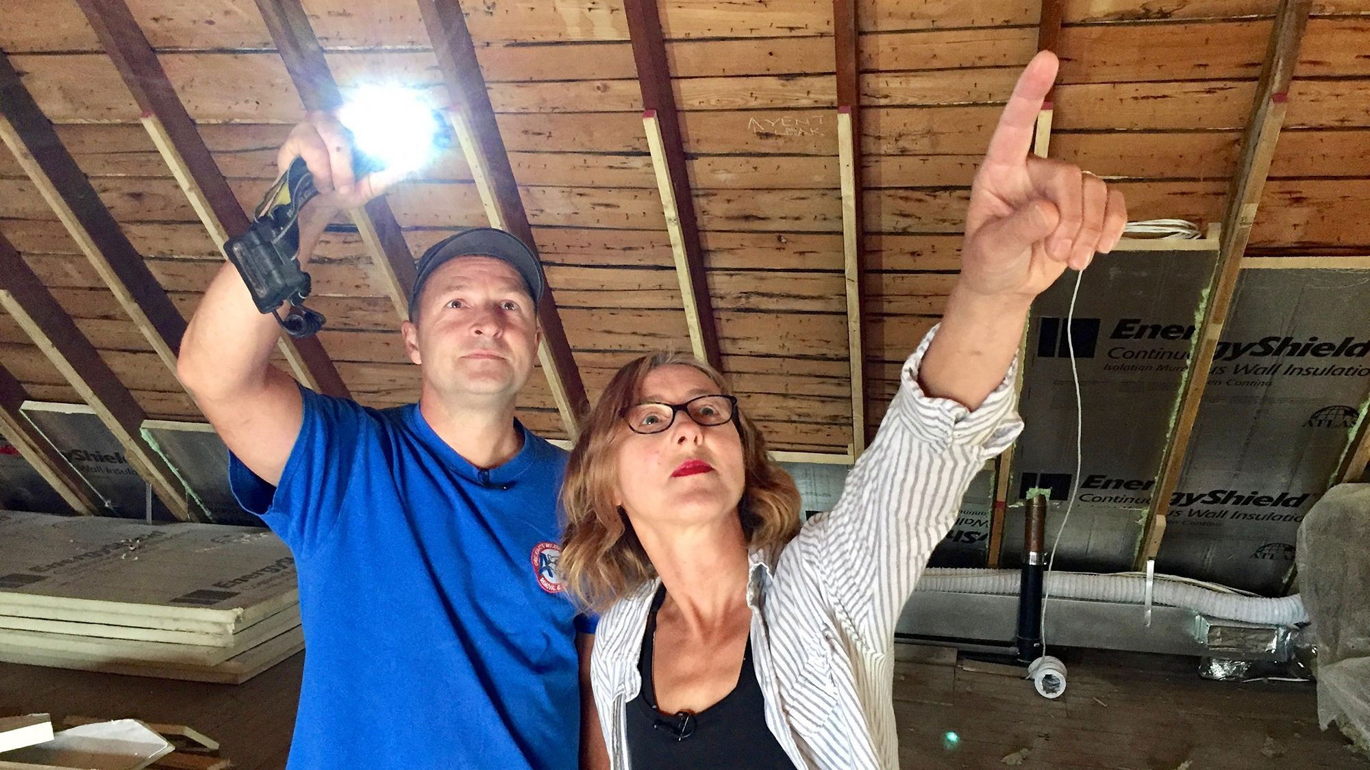 Louis et la faune urbaine - Épisode 11