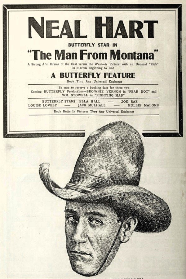 The Man from Montana The Man from Montana