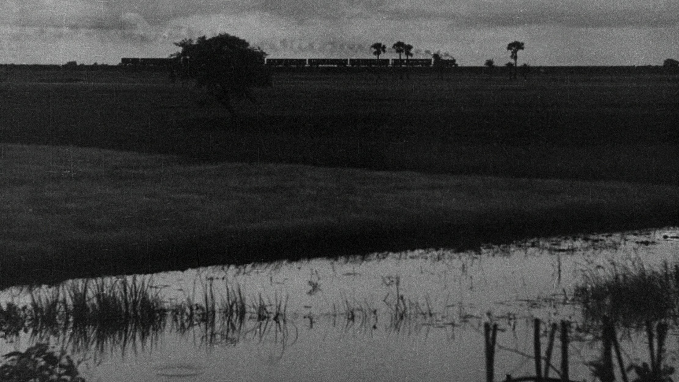 অপরাজিত (1956)