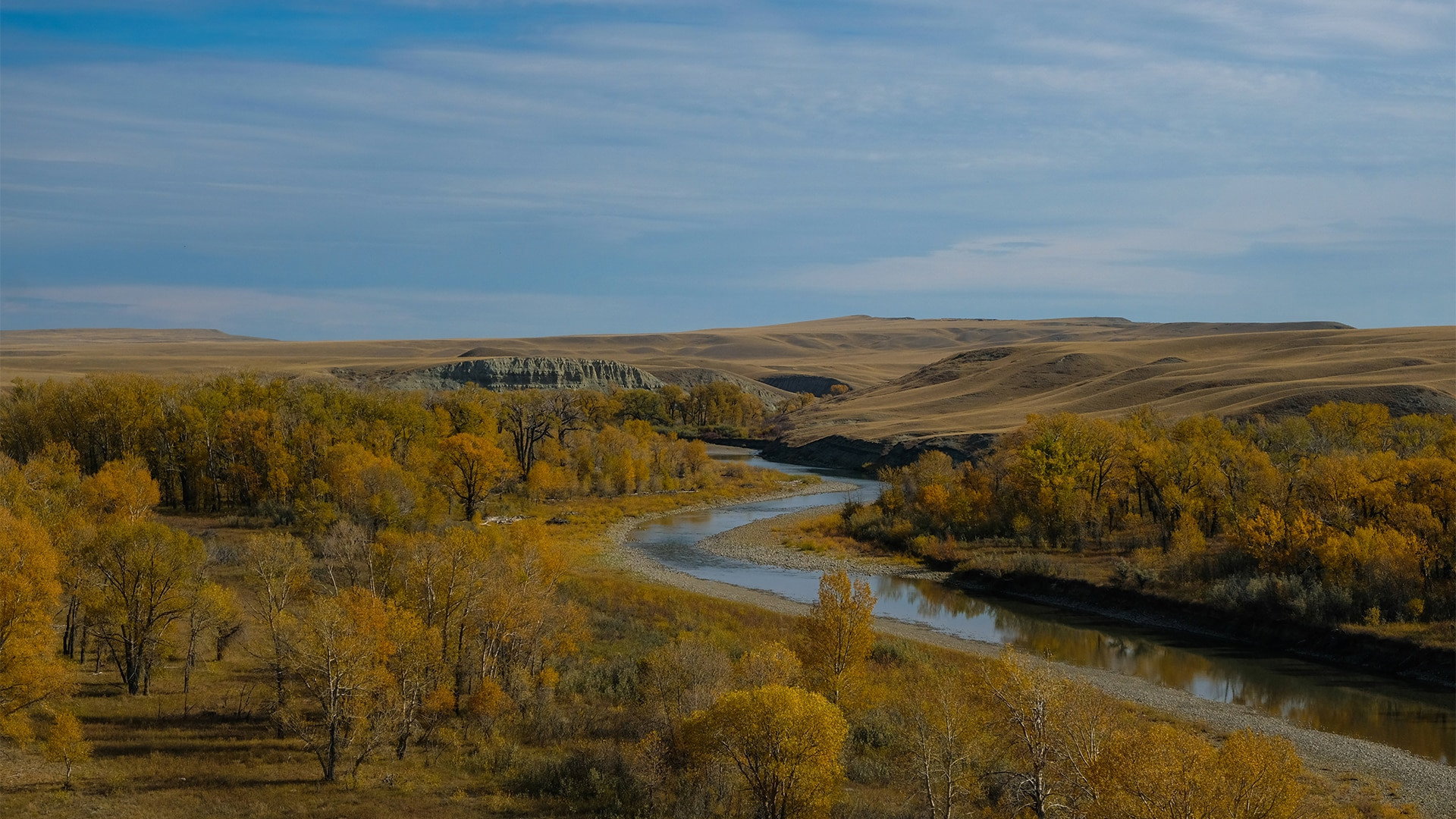 Dynamic Planet S01E04 backdrop