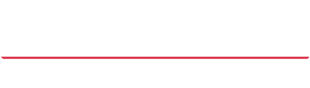 Servant of the People