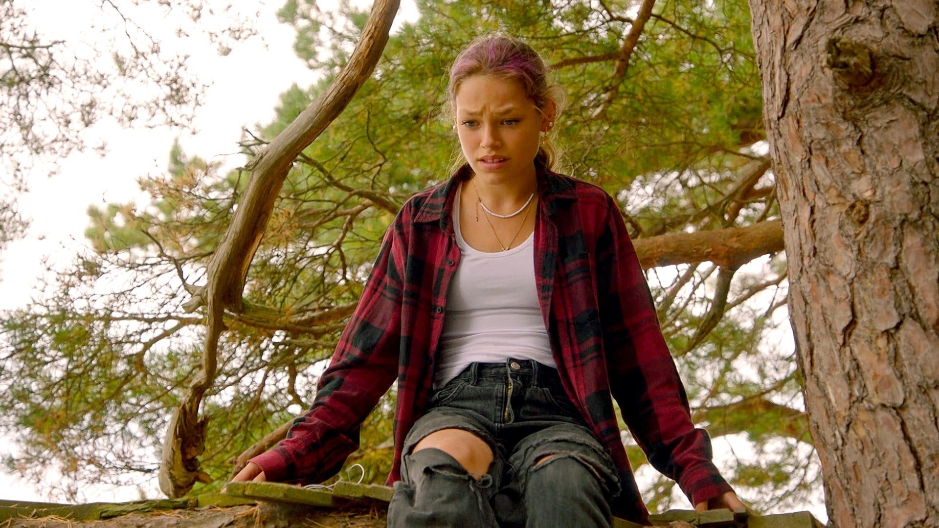 Campingplassen 3x14