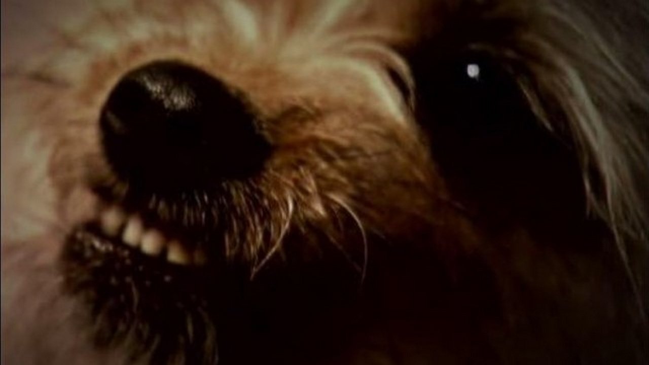 Thumbnail for The Possession of Cassie Season 1 Episode 6