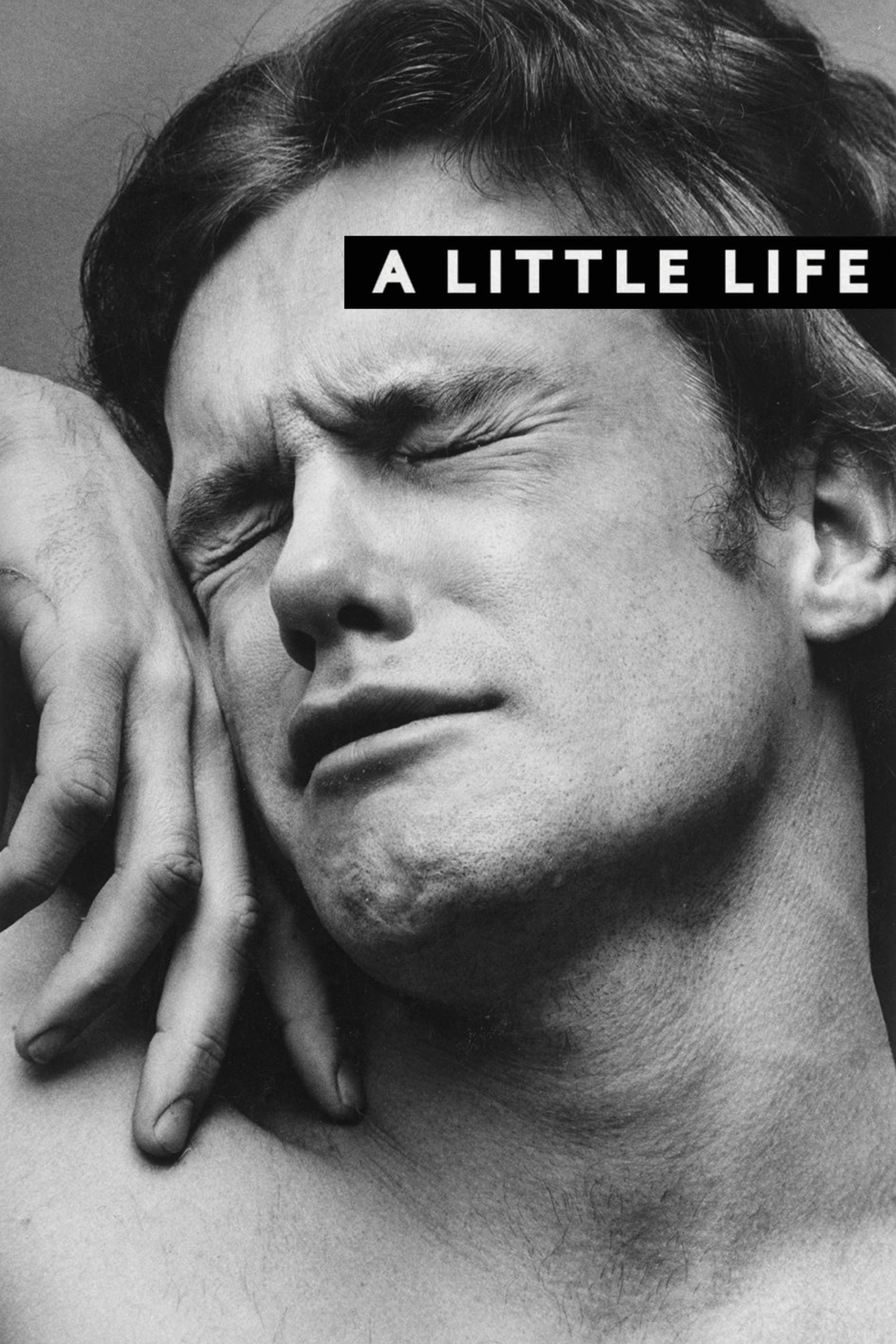 A Little Life