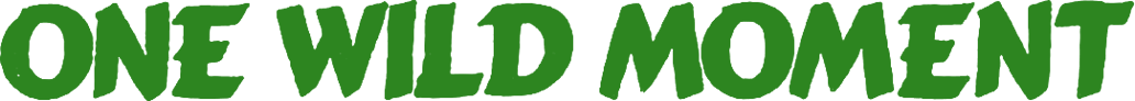 One Wild Moment Logo