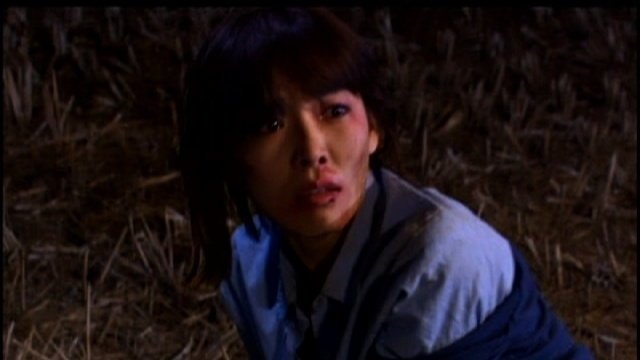 Prosecutor Princess