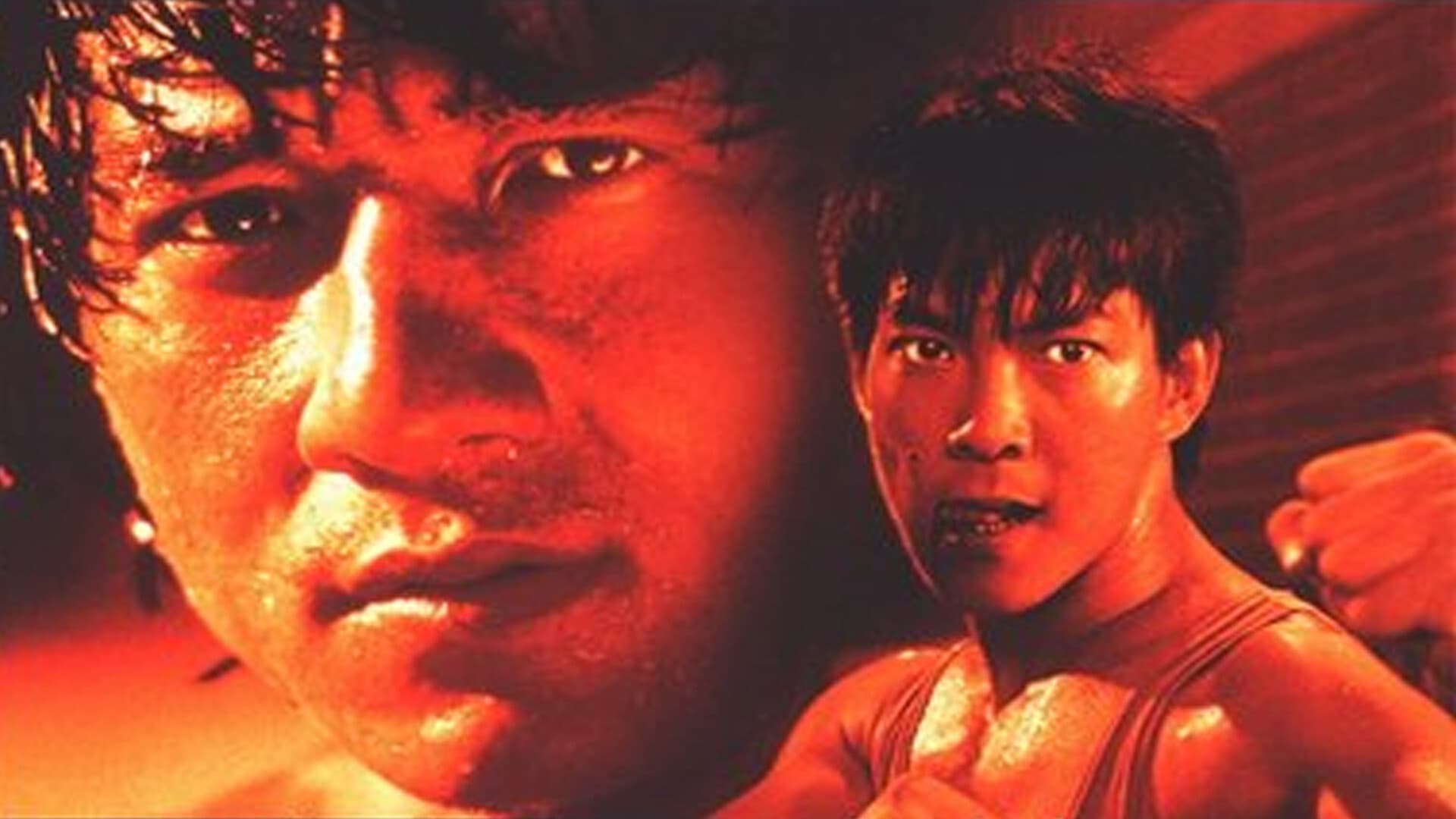 Le Flic de Hong Kong 2 (1985)