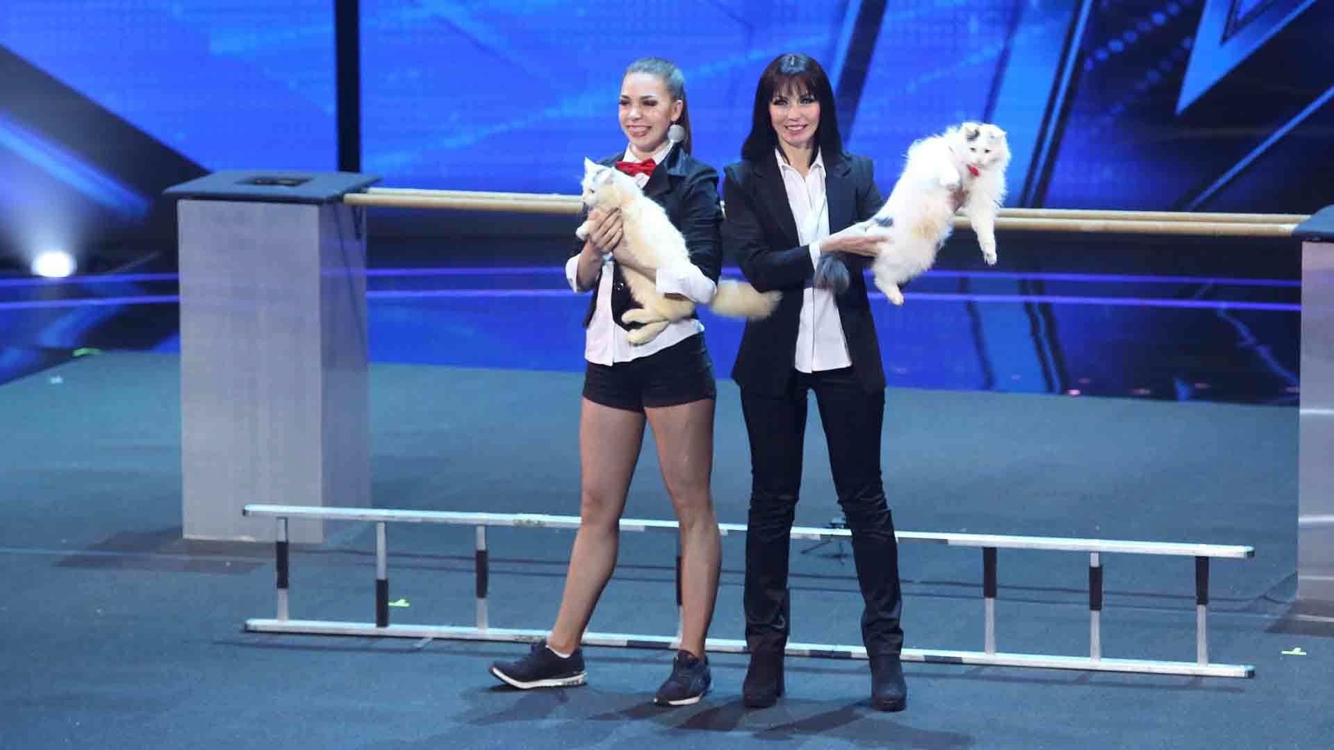 America's Got Talent Staffel 13 :Folge 10 