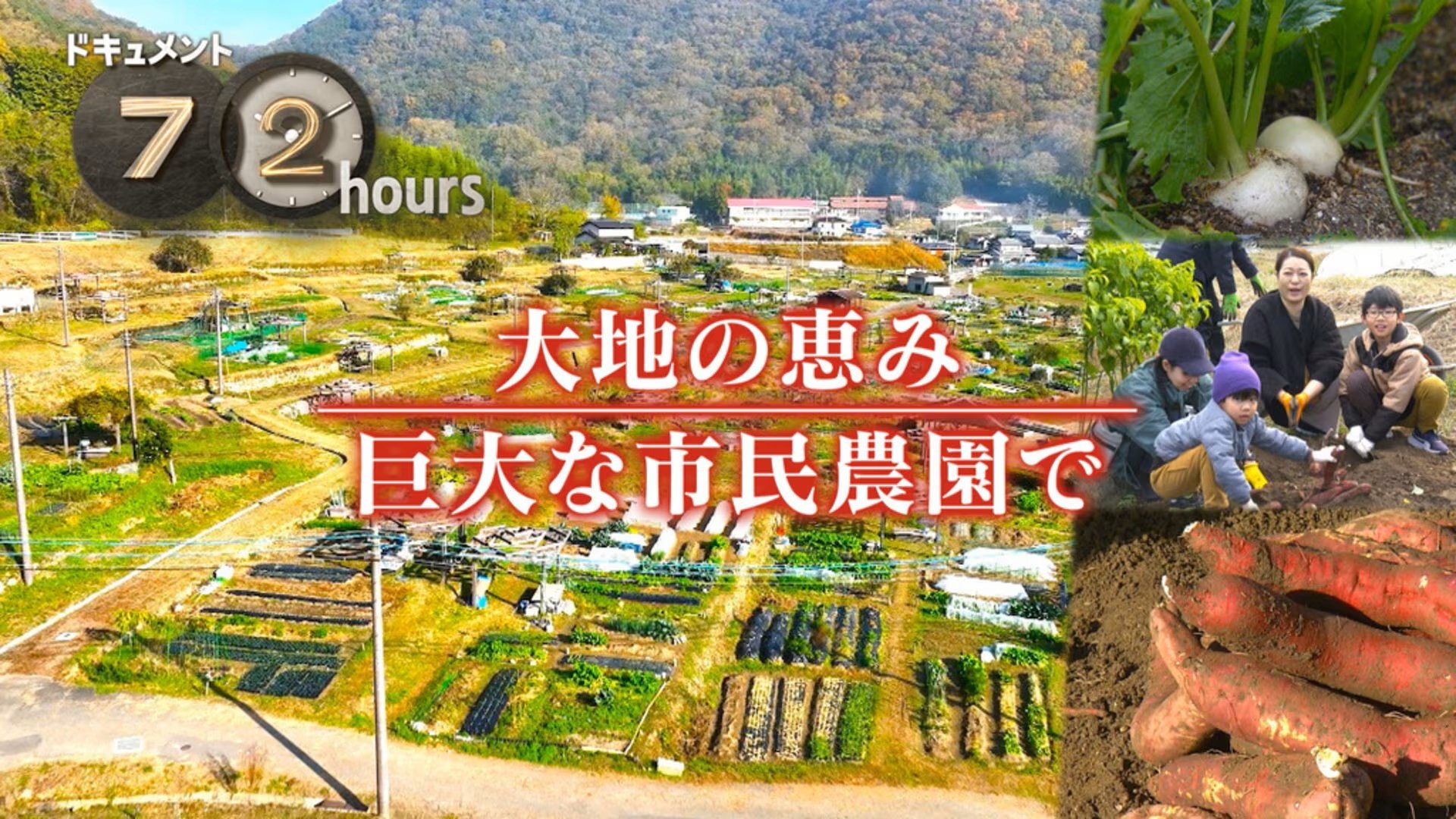 Document 72 Hours