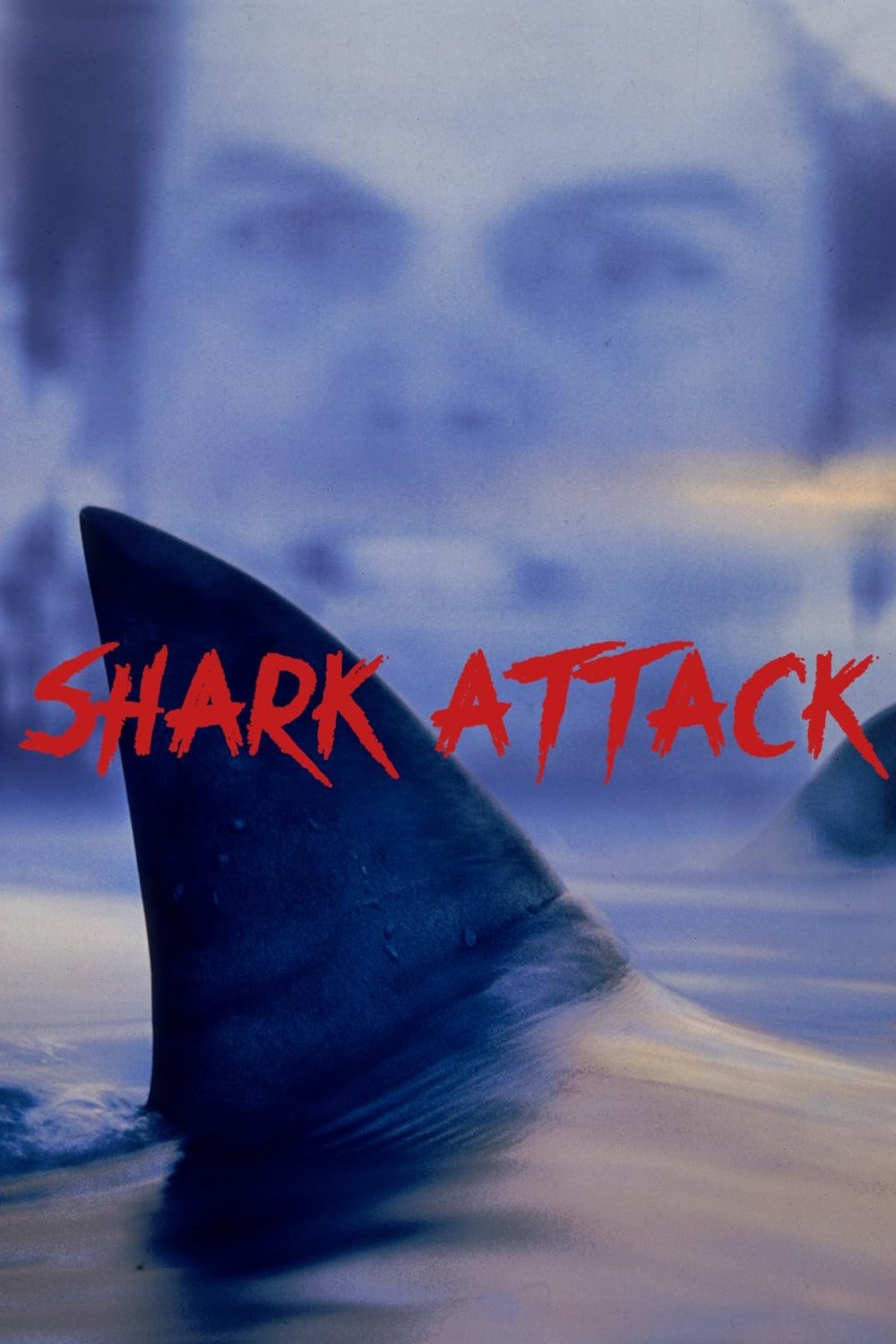 Shark Attack