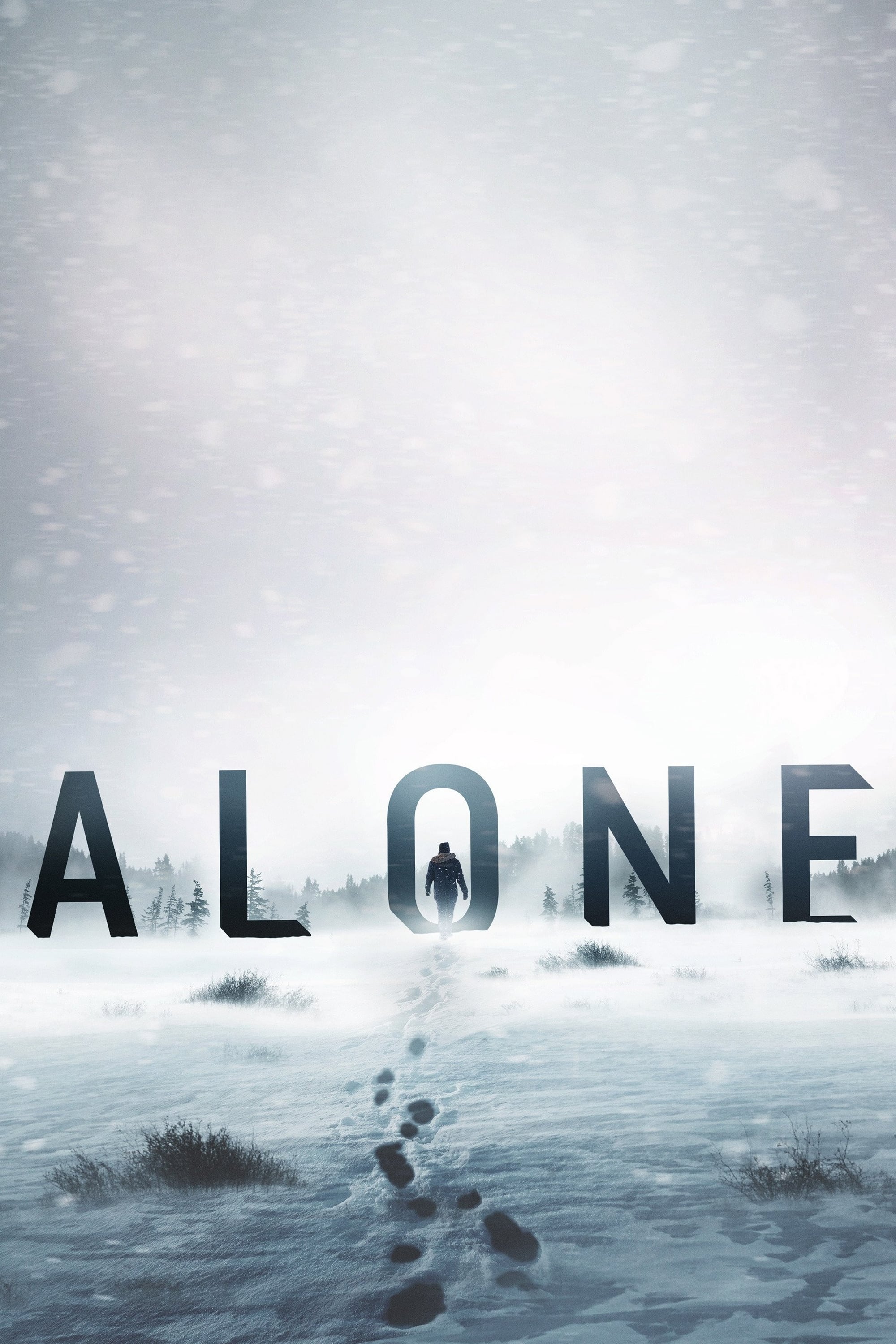 Alone TV Shows About Wilderness