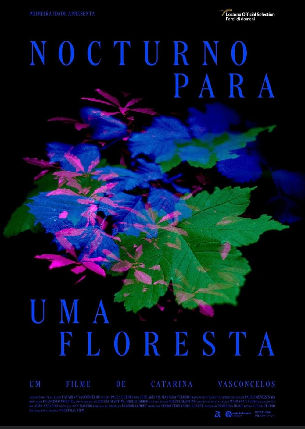 Nocturno Para Uma Floresta
