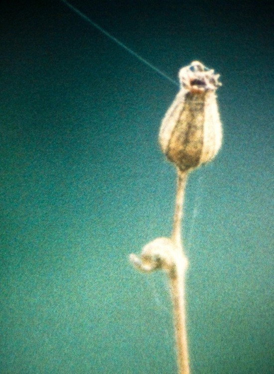 Poster for Villatalla