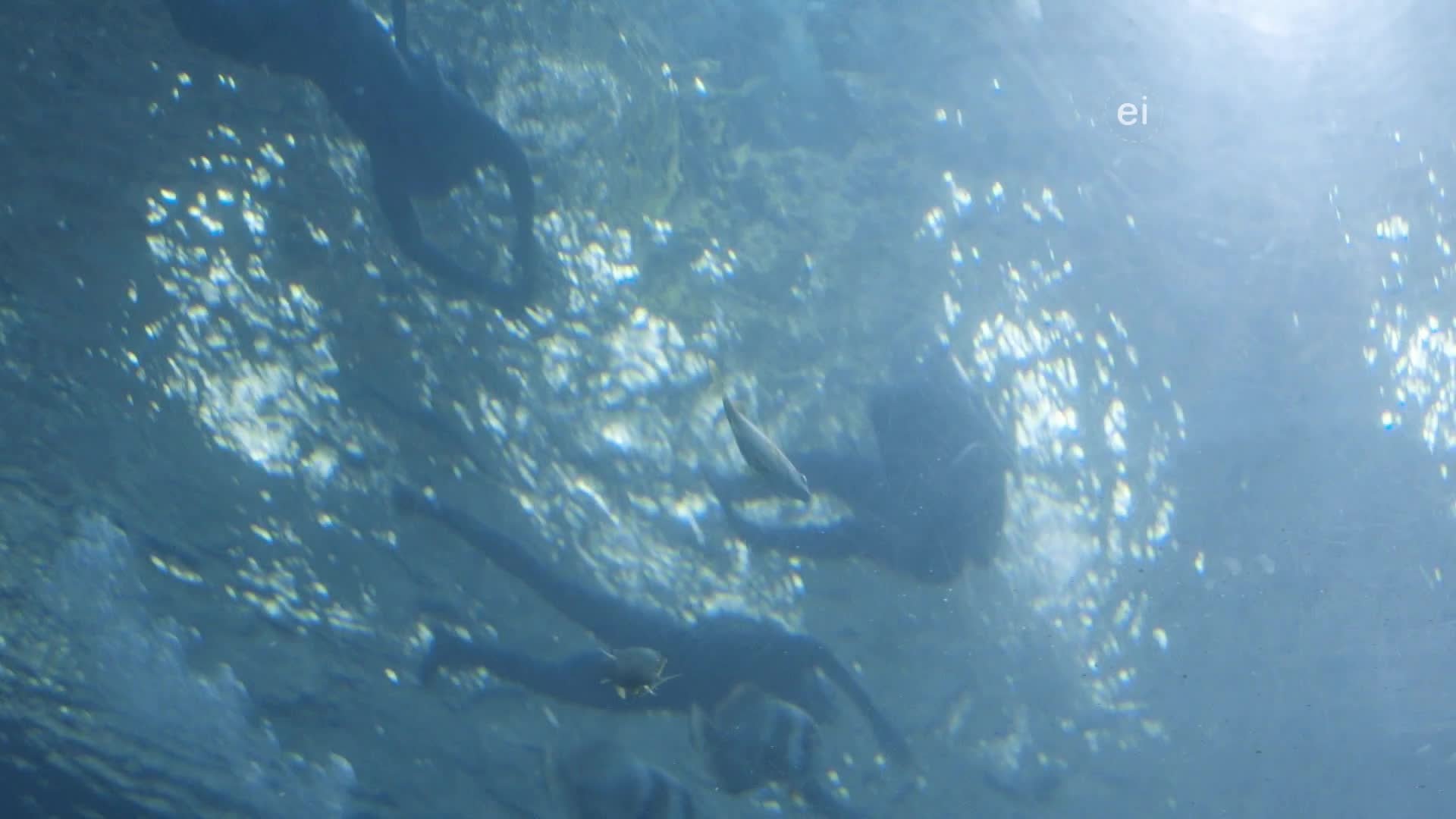 Episode 14