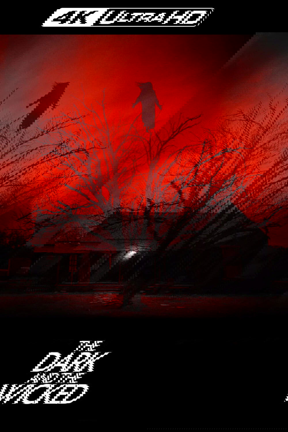 The Dark and the Wicked