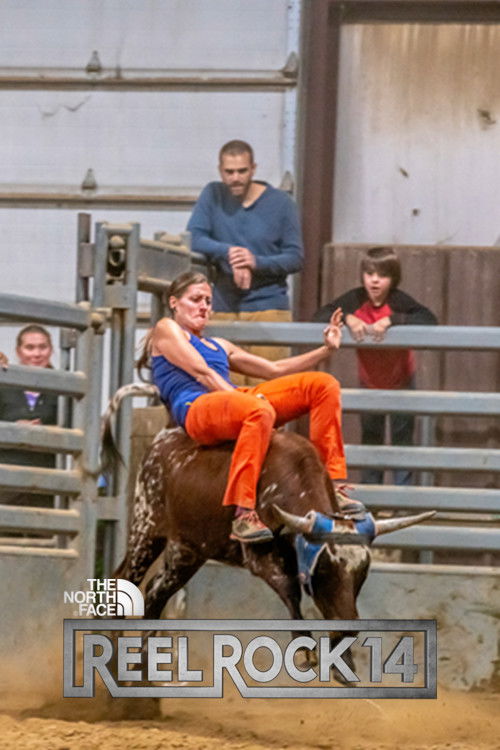 United States of Joe’s