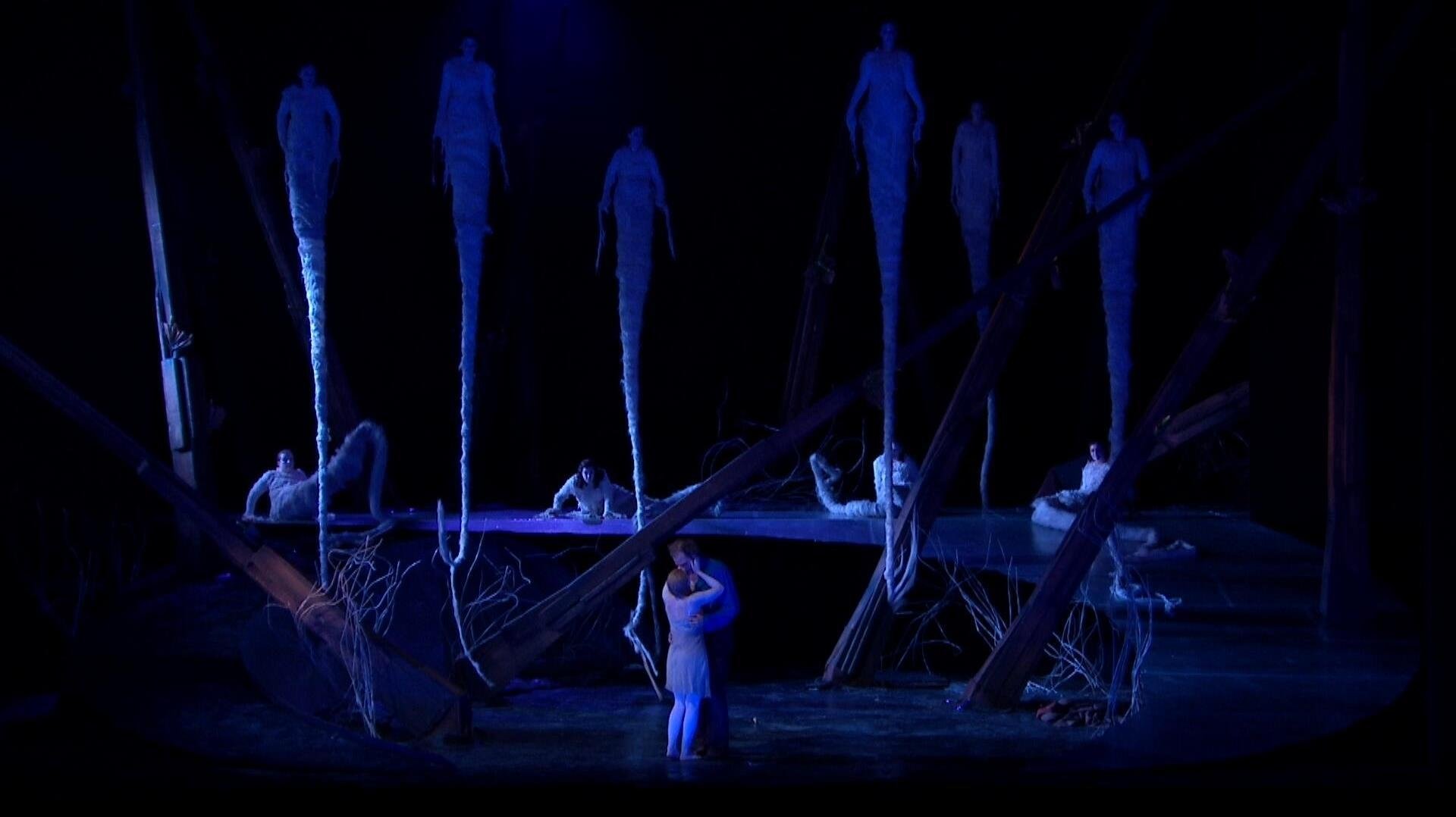 Dvořák:  Rusalka