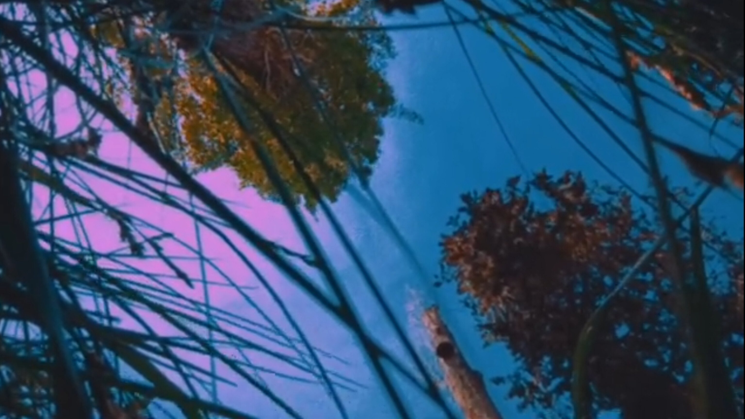 Nostalgia of Everything (2024)