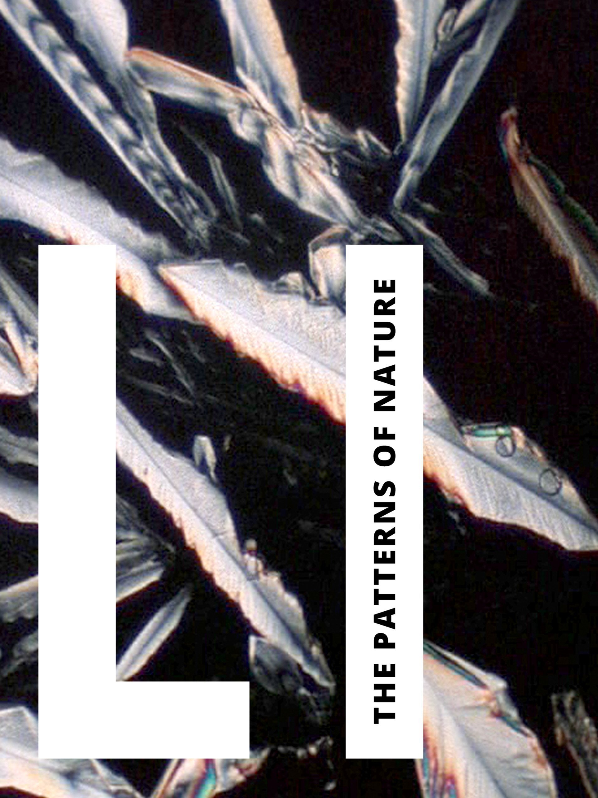 Li: The Patterns of Nature backdrop
