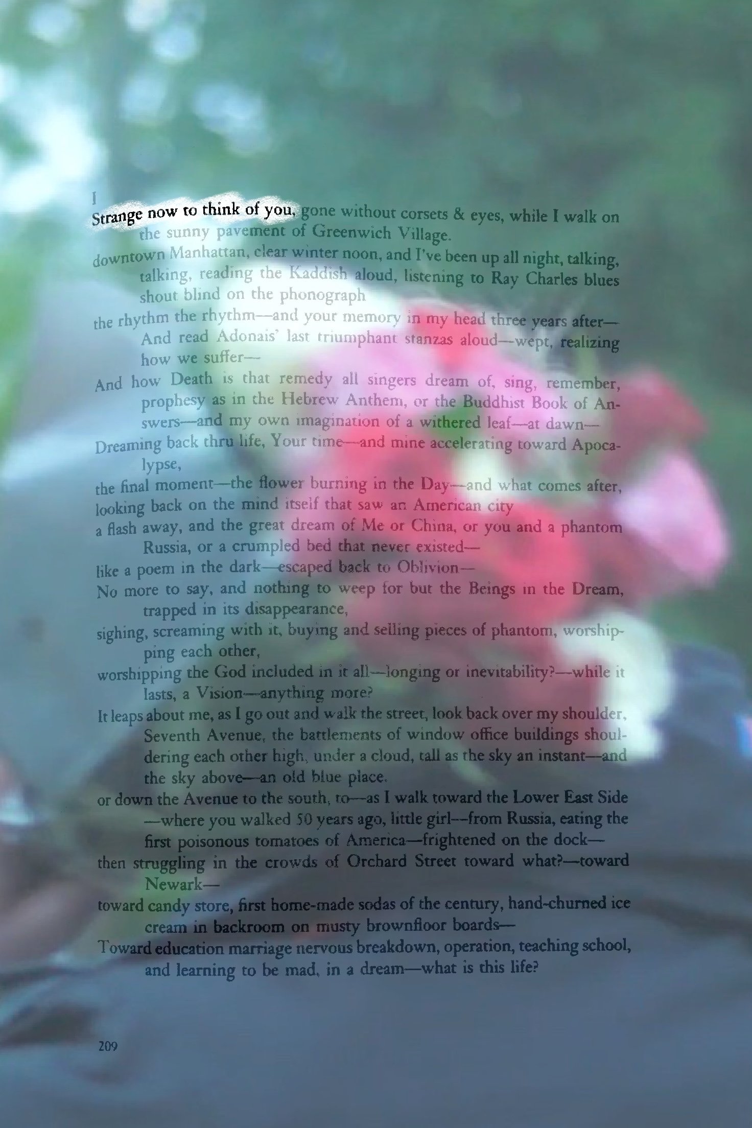 Content cover