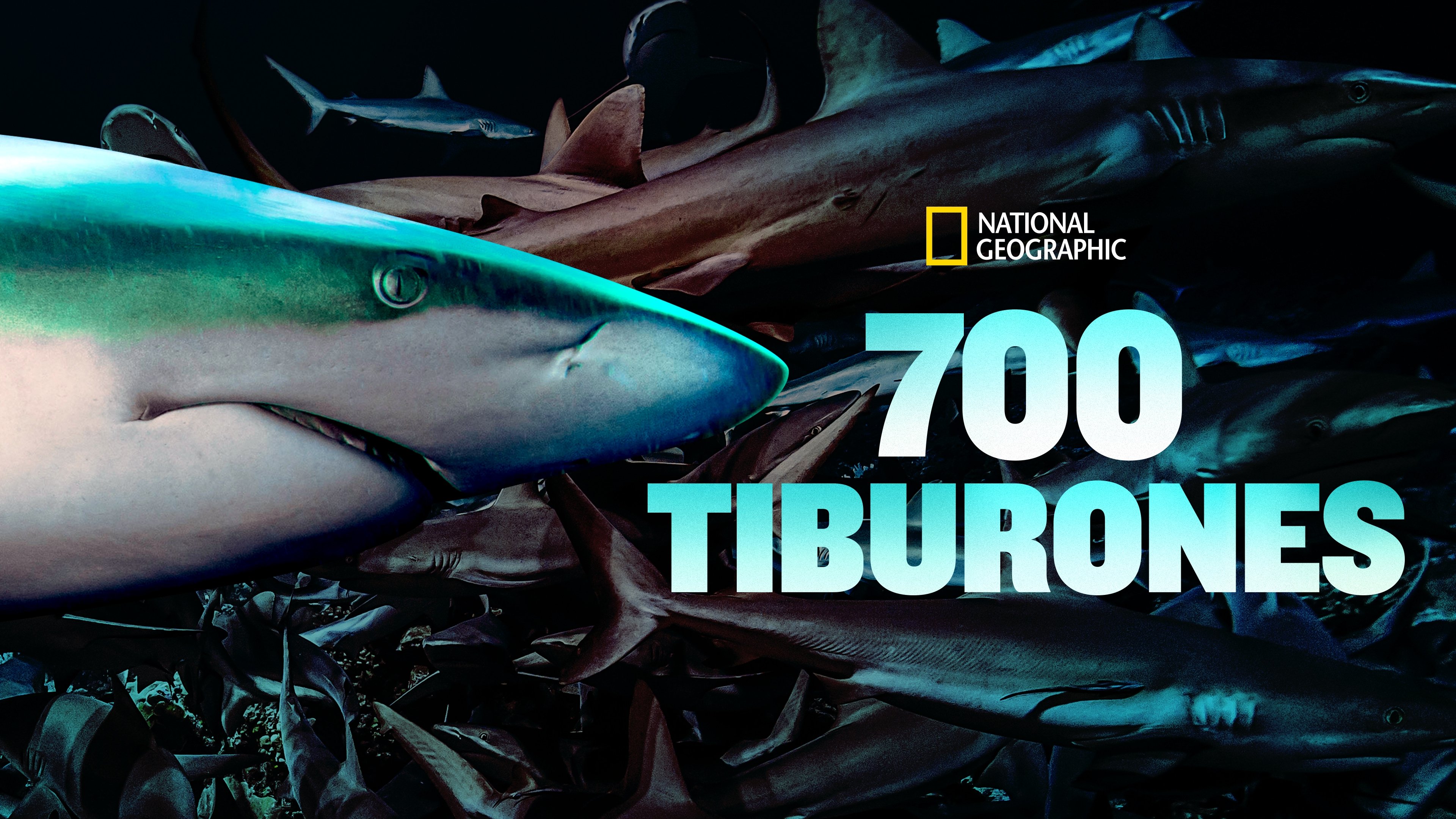 700 Sharks (2018)