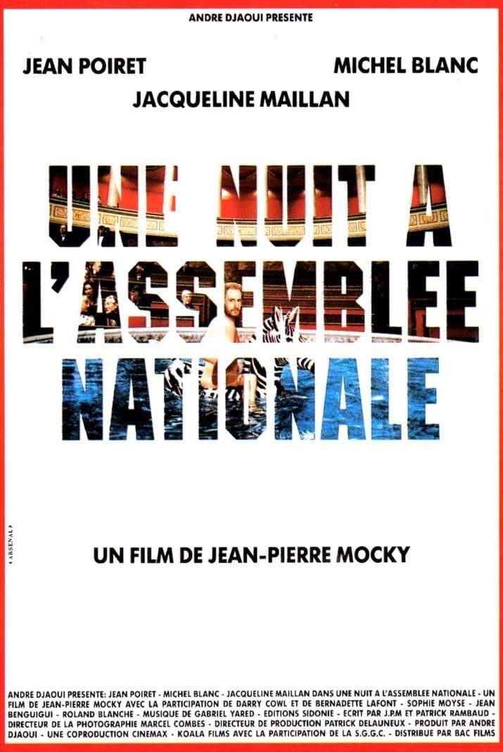 Affiche du film Une nuit à l'Assemblée nationale 13783