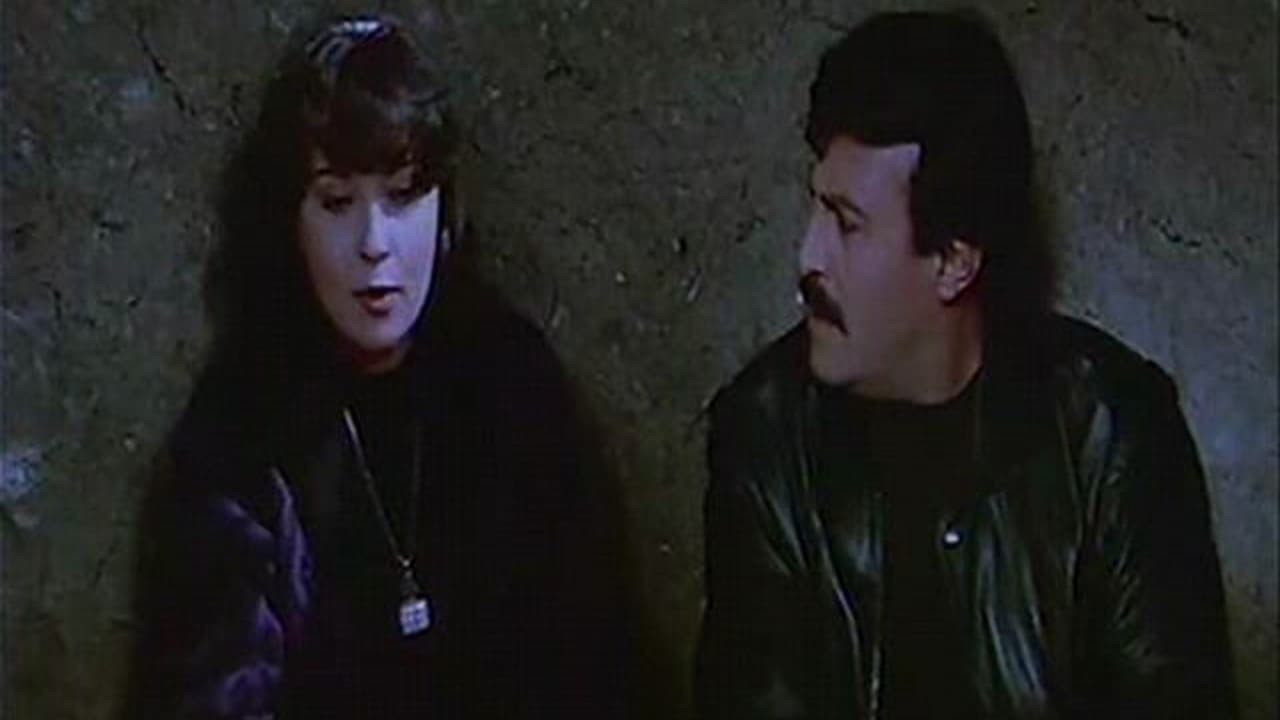 The Two Fugitives (1993)