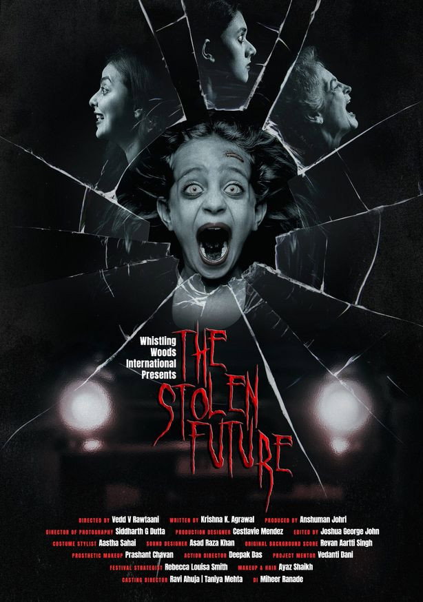 The Stolen Future poster