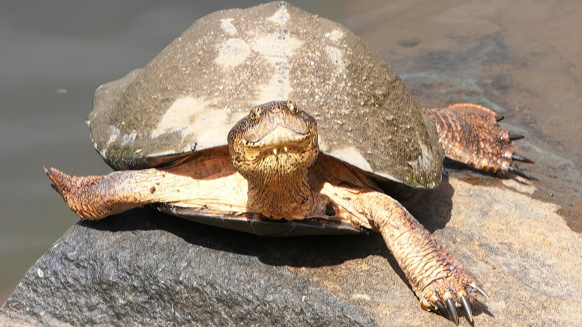Earth Odyssey with Dylan Dreyer S05E10 backdrop