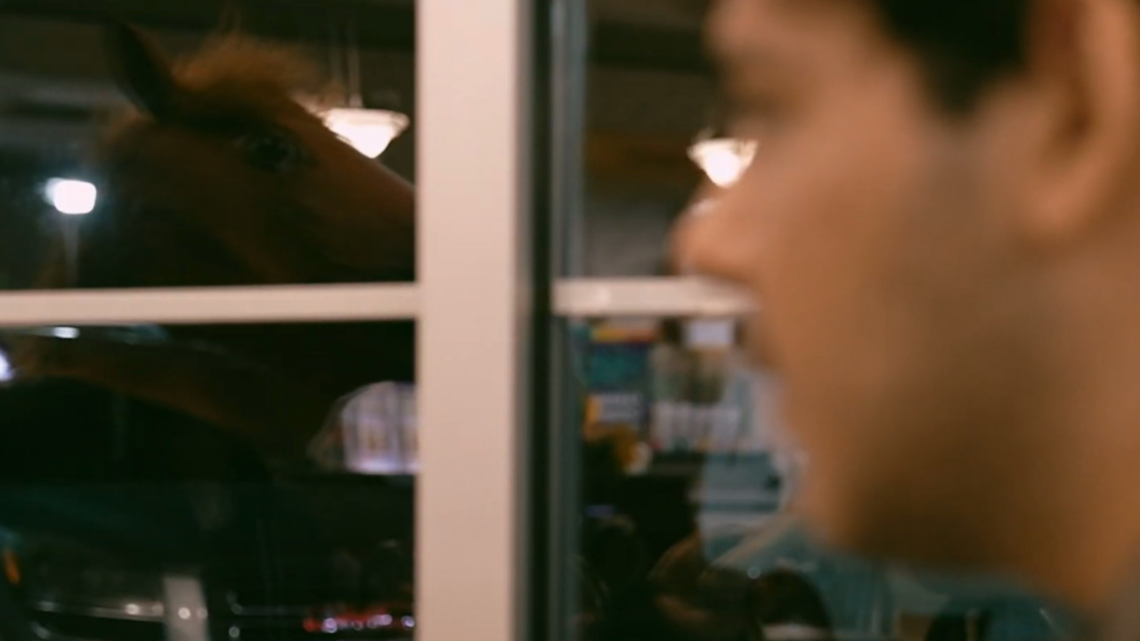 Imagem do Filme InsomNEIGHa