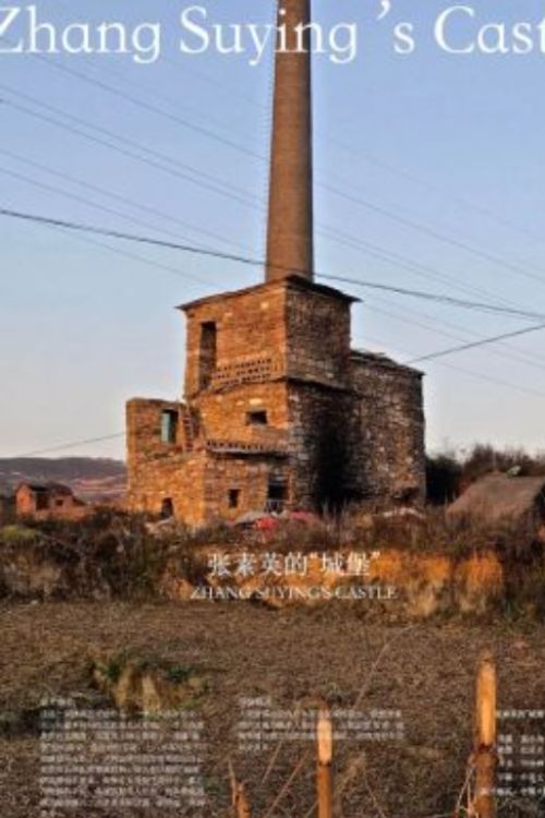 Zhang Suying's Castle