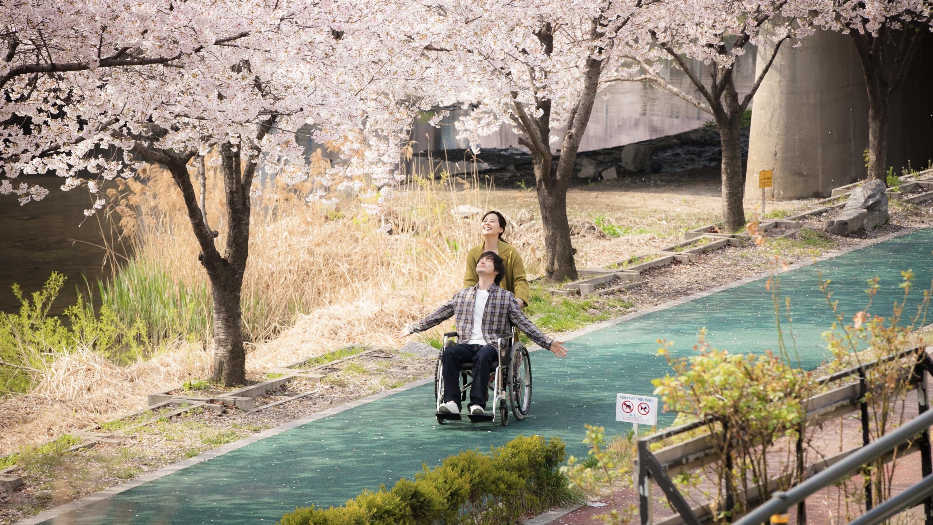 Paper Flower (2020)
